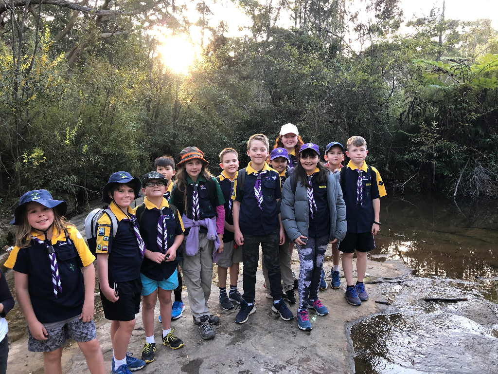 Allambie Heights Scouts